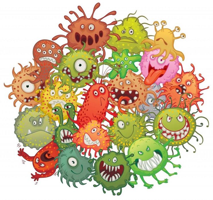 human germs and worms how to get rid of