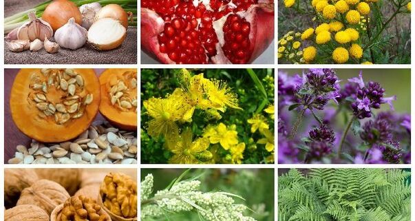 Popular methods of treatment for worms