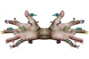 parasitic microbes on human hands